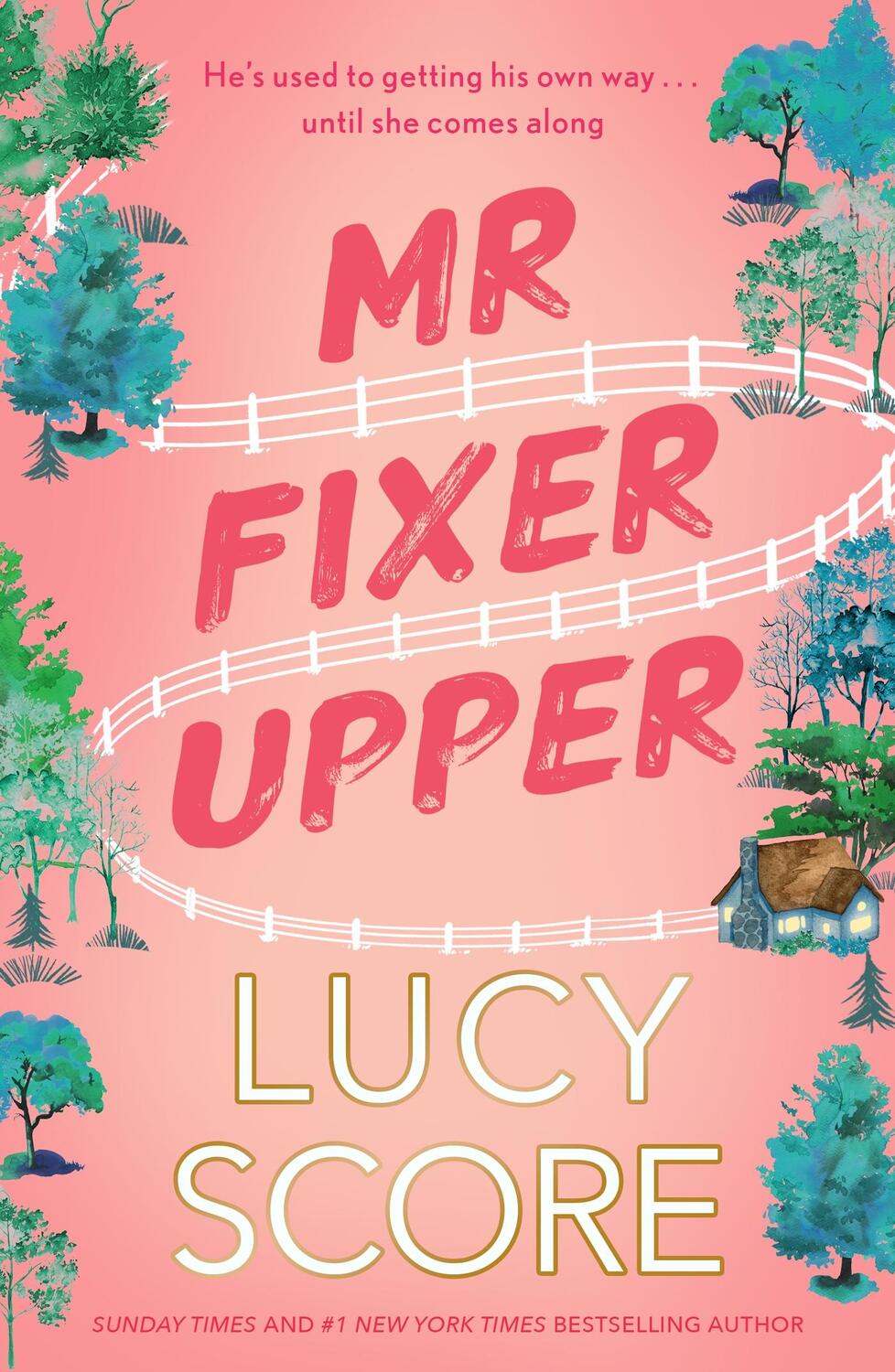 Cover: 9781399735513 | Mr Fixer Upper | Lucy Score | Taschenbuch | 400 S. | Englisch | 2024