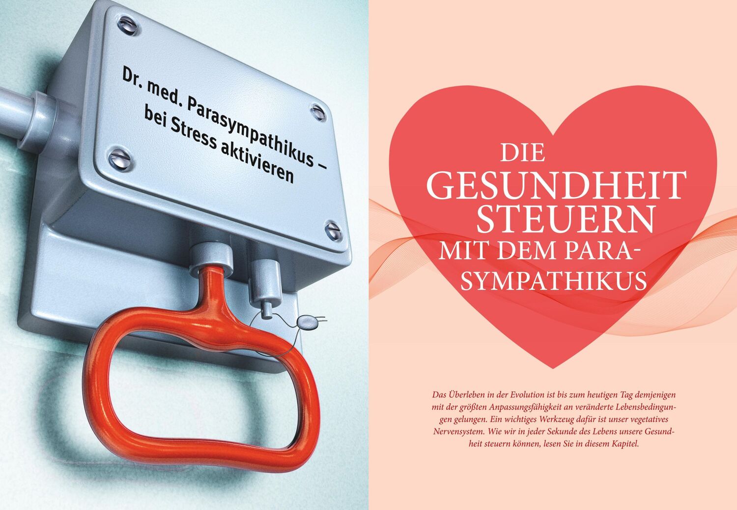 Bild: 9783833870880 | Das Parasympathikus-Prinzip | Ursula Eder (u. a.) | Taschenbuch | 2019