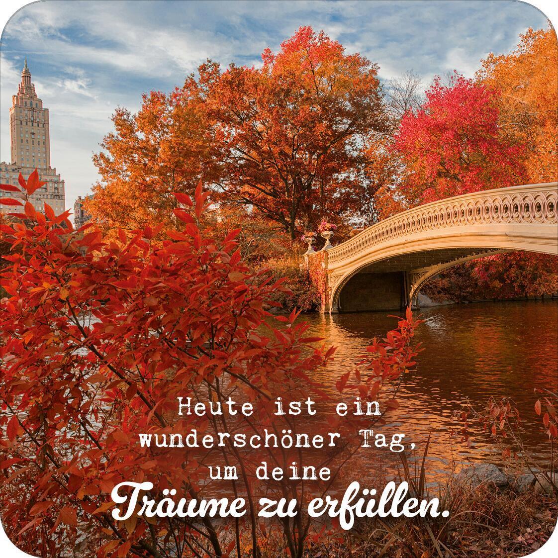 Bild: 4014489126461 | Vision Board Cards | 50 herbstliche Inspirationen | Box | 51 S. | 2023