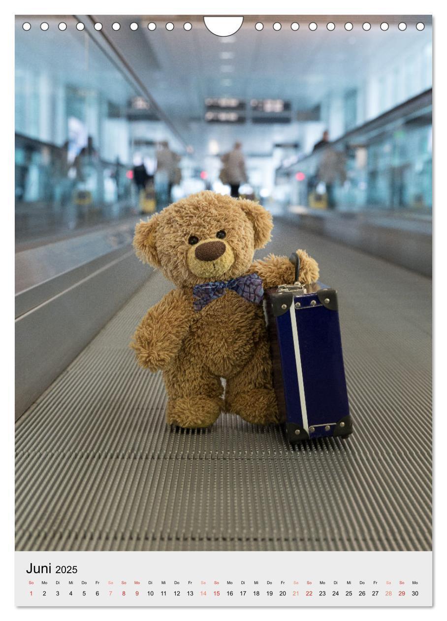 Bild: 9783435897148 | Travelling Teddy liebt es Bunt (Wandkalender 2025 DIN A4 hoch),...