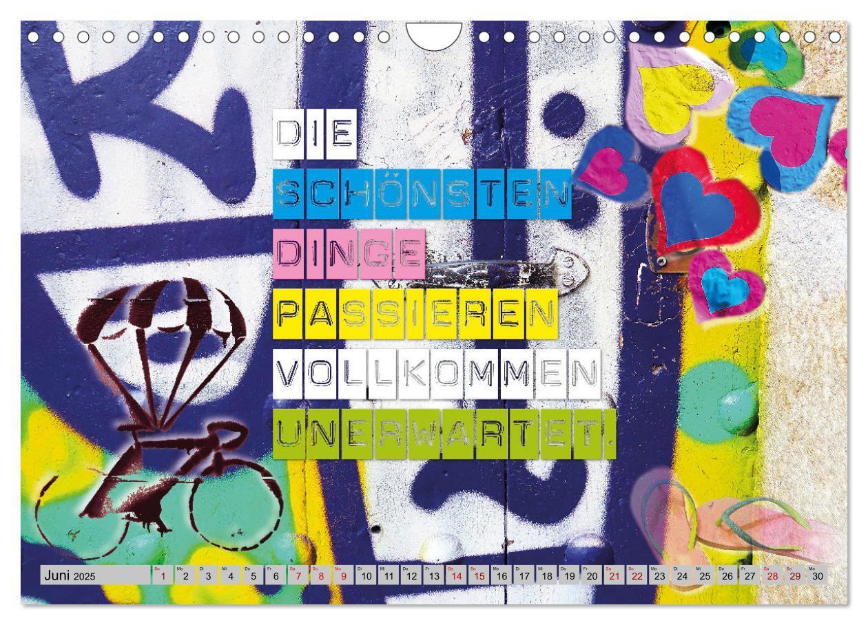 Bild: 9783383869884 | Optimisten leben länger (Wandkalender 2025 DIN A4 quer), CALVENDO...