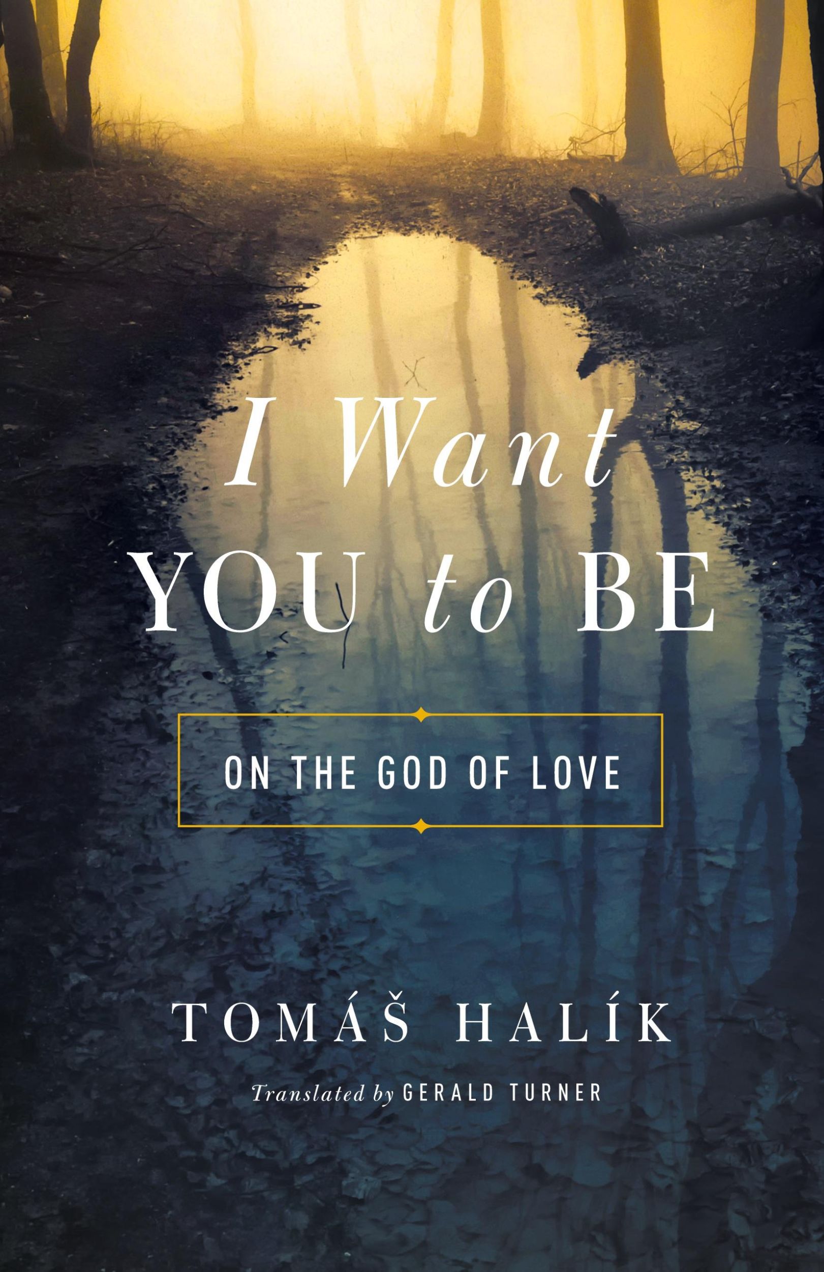 Cover: 9780268100735 | I Want You to Be | On the God of Love | Tomá¿ Halík | Taschenbuch