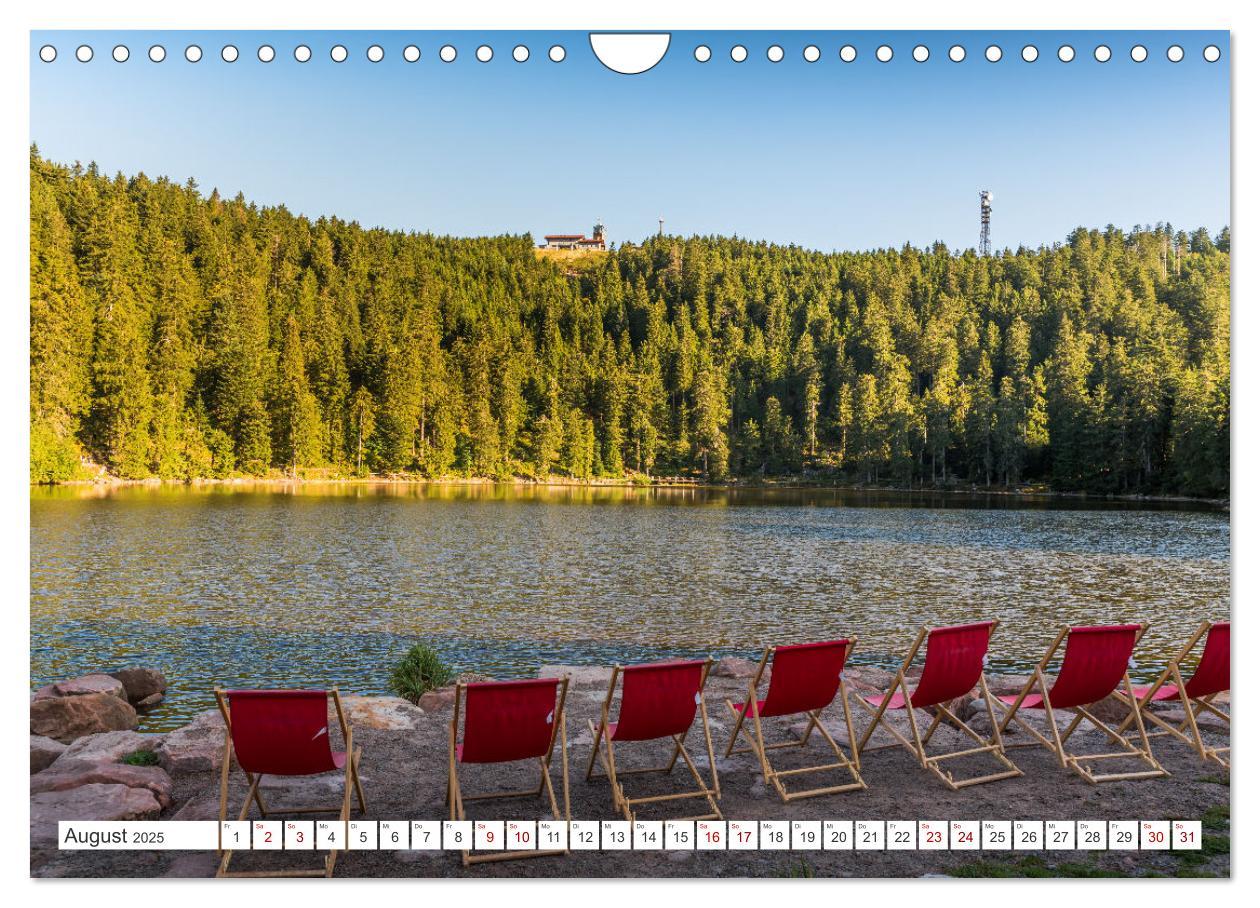 Bild: 9783435687831 | Schwarzwald (Wandkalender 2025 DIN A4 quer), CALVENDO Monatskalender