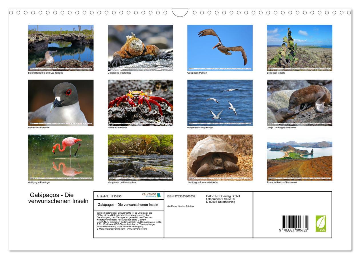 Bild: 9783383906732 | Galápagos - Die verwunschenen Inseln (Wandkalender 2025 DIN A3...