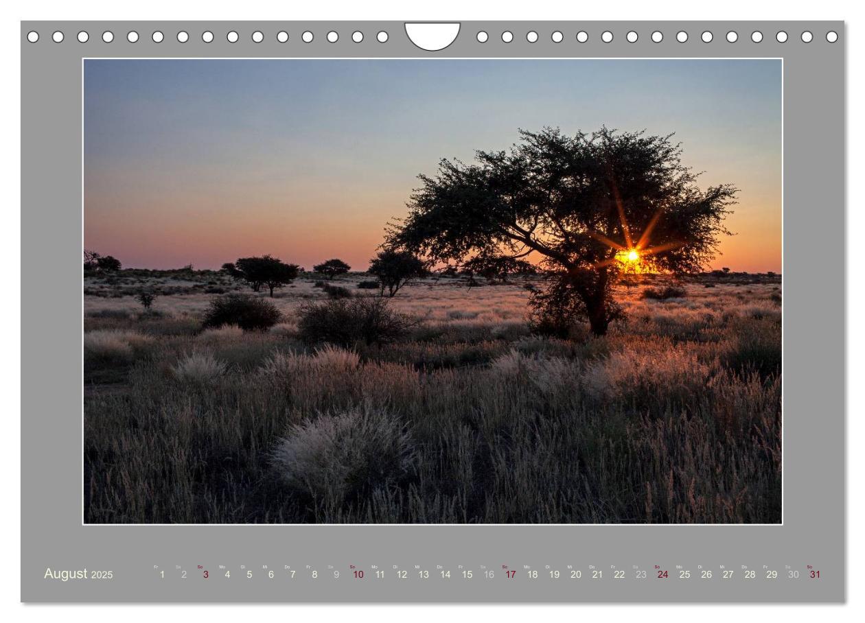 Bild: 9783435730674 | Namibia - Die Farben der Namib (Wandkalender 2025 DIN A4 quer),...