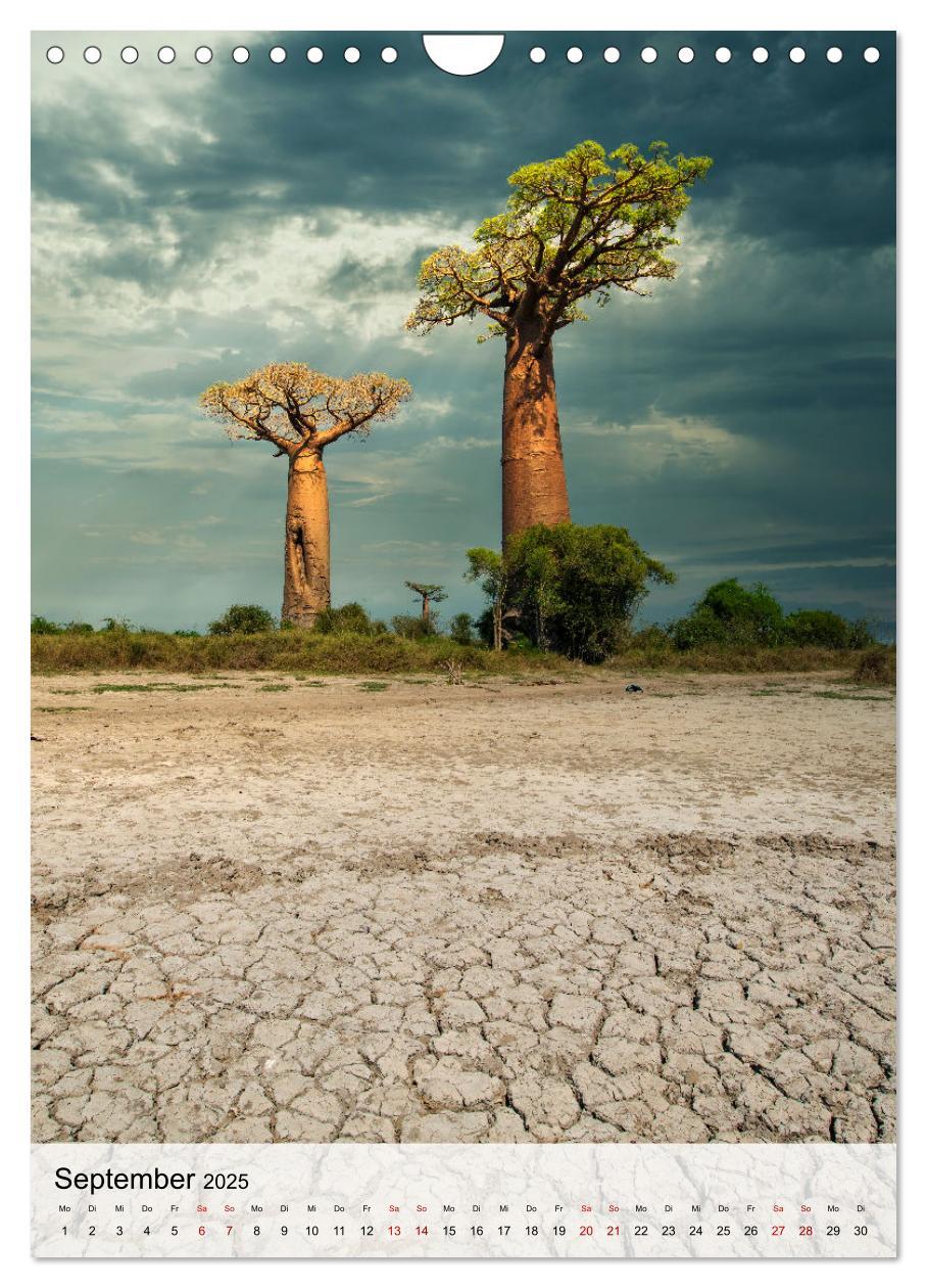 Bild: 9783435905140 | MADAGASKAR: Baobabs, Lemuren, Naturwunder (Wandkalender 2025 DIN A4...