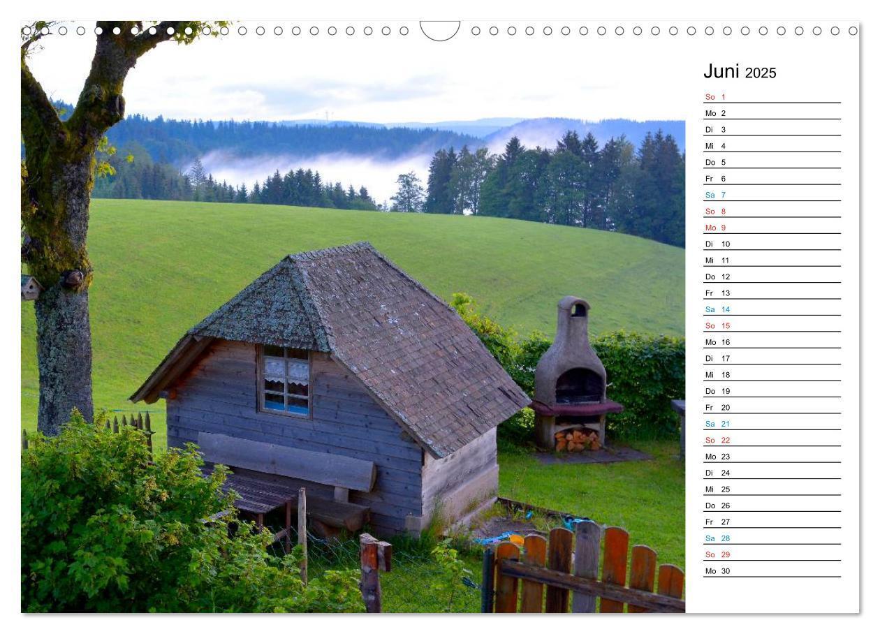 Bild: 9783435693313 | Hochschwarzwald (Wandkalender 2025 DIN A3 quer), CALVENDO...