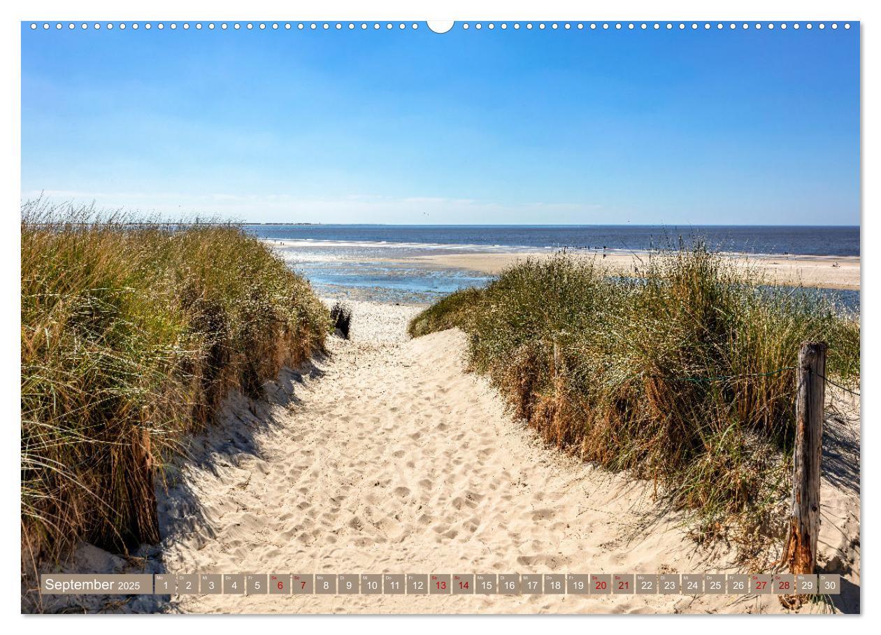 Bild: 9783435053872 | Inselliebe Langeoog (Wandkalender 2025 DIN A2 quer), CALVENDO...