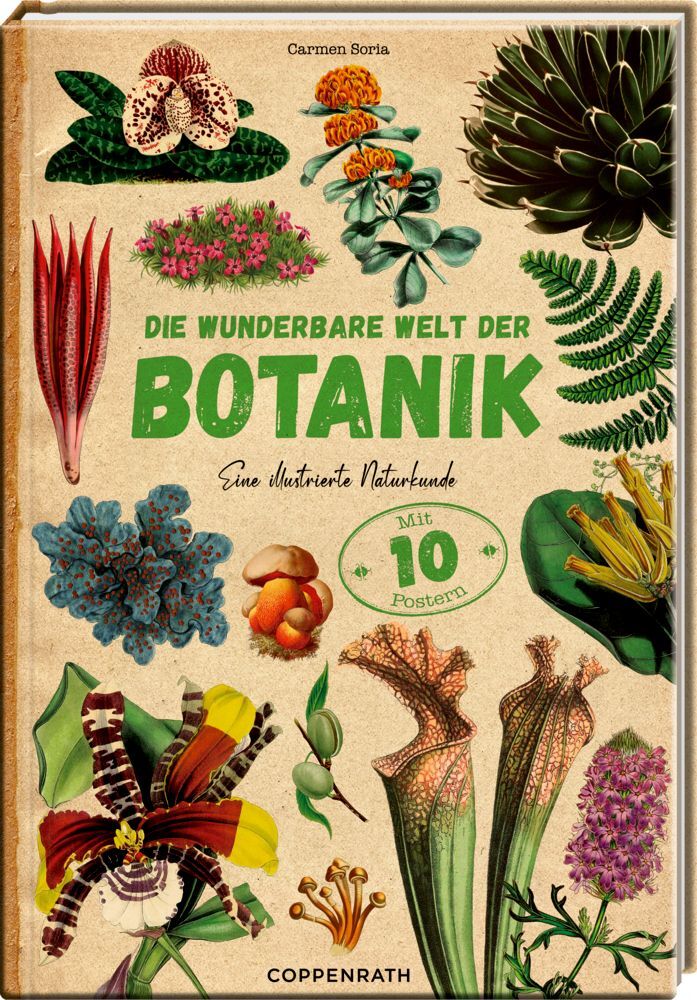 Cover: 9783649643784 | Die wunderbare Welt der Botanik | Carmen Soria | Buch | 48 S. | 2022