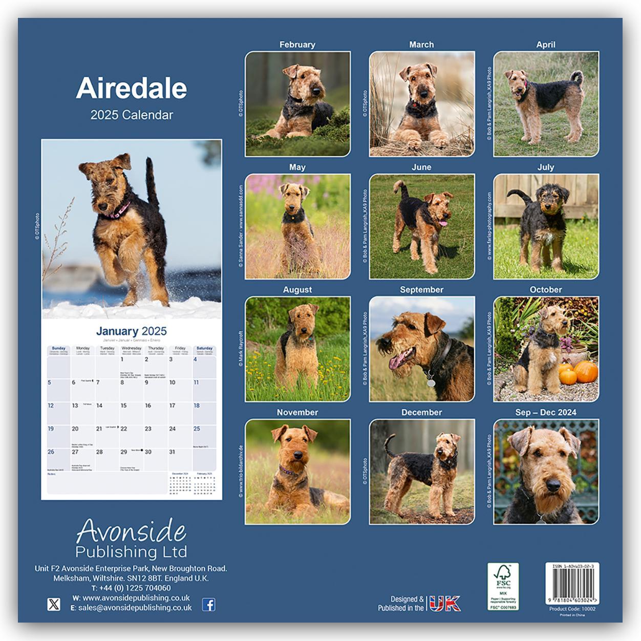 Rückseite: 9781804603024 | Airedale Terrier 2025 - 16-Monatskalender | Avonside Publishing | 2025