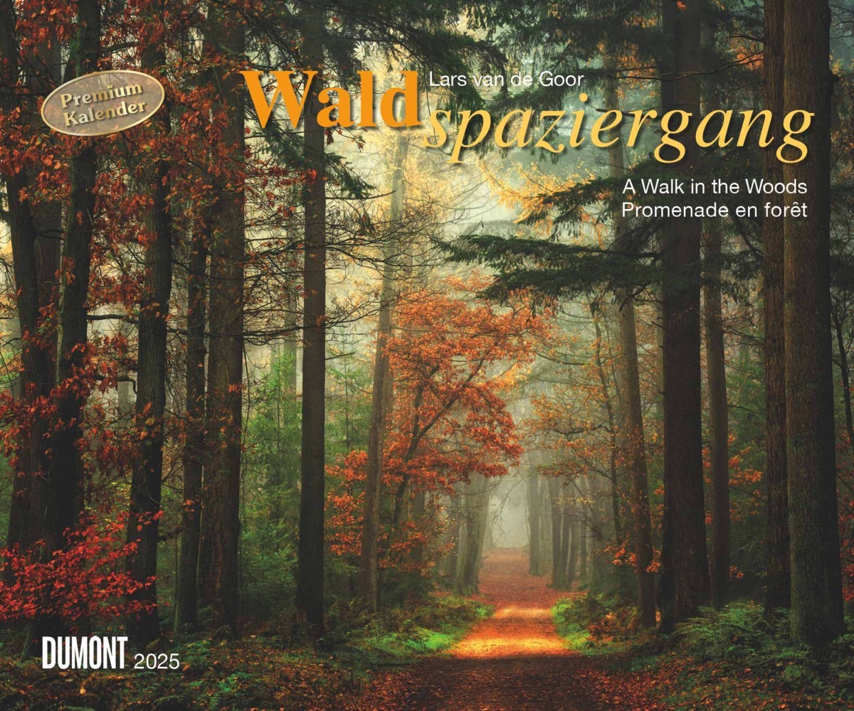 Cover: 4250809653426 | DUMONT - Waldspaziergang 2025 Wandkalender, 60x50cm,...