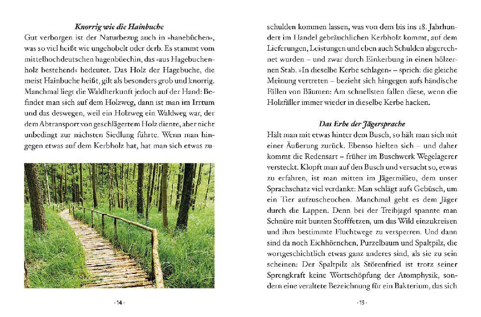 Bild: 9783710401886 | Das kleine Buch: Der Laubbaum | Julia Kospach | Buch | 64 S. | Deutsch