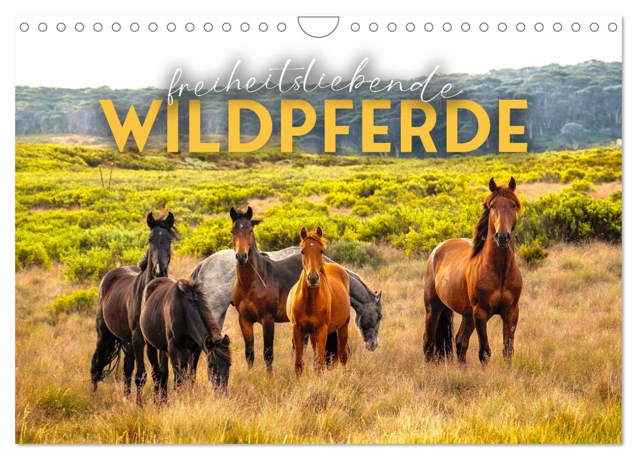 Cover: 9783383927973 | Freiheitsliebende Wildpferde (Wandkalender 2025 DIN A4 quer),...