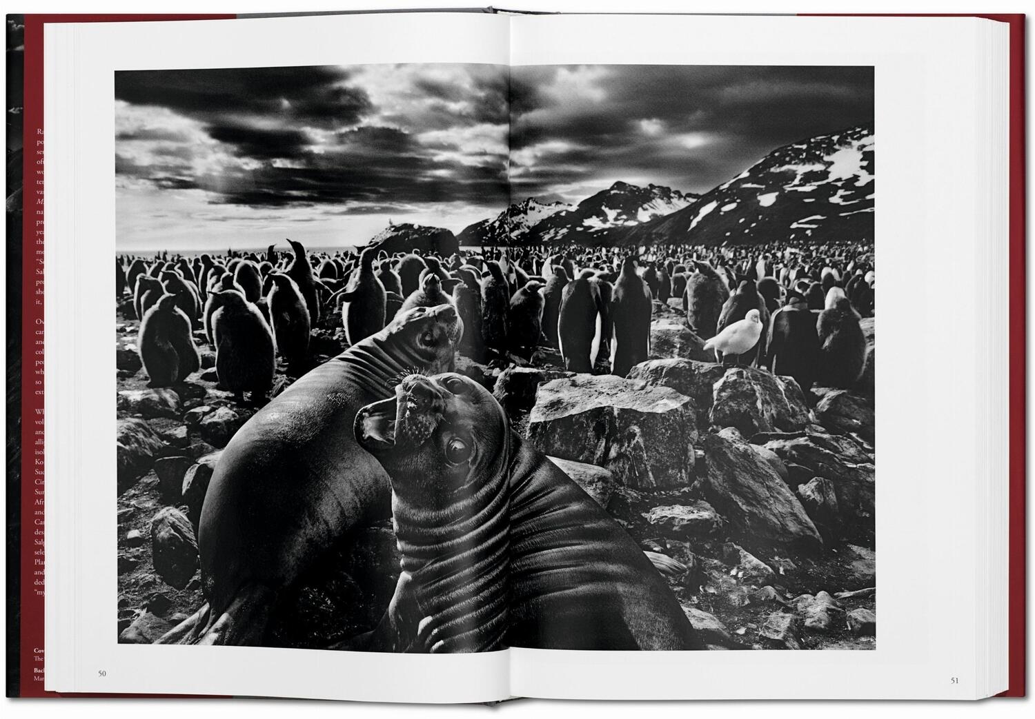 Bild: 9783836542593 | Sebastiao Salgado. Genesis | Trade Edition | Lélia Wanick Salgado