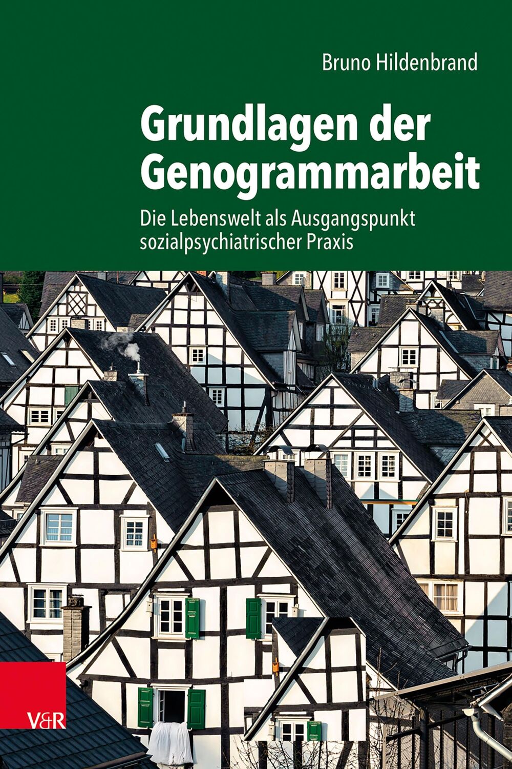 Cover: 9783525407516 | Grundlagen der Genogrammarbeit | Bruno Hildenbrand | Taschenbuch