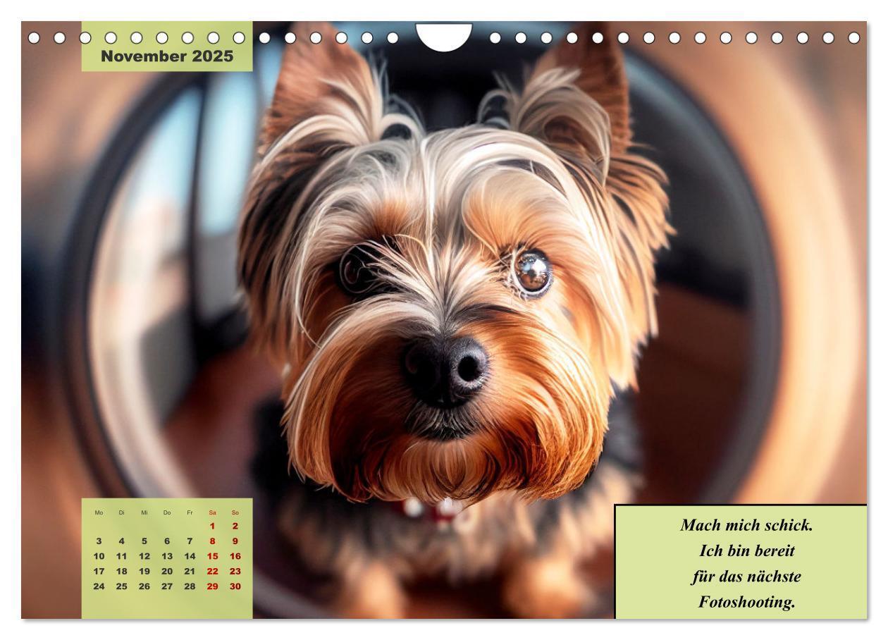 Bild: 9783383920523 | Der humoristische Yorkshire Terrier Kalender (Wandkalender 2025 DIN...