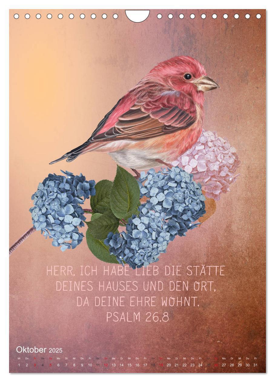 Bild: 9783435962655 | Bibelworte für Vogelfreunde (Wandkalender 2025 DIN A4 hoch),...