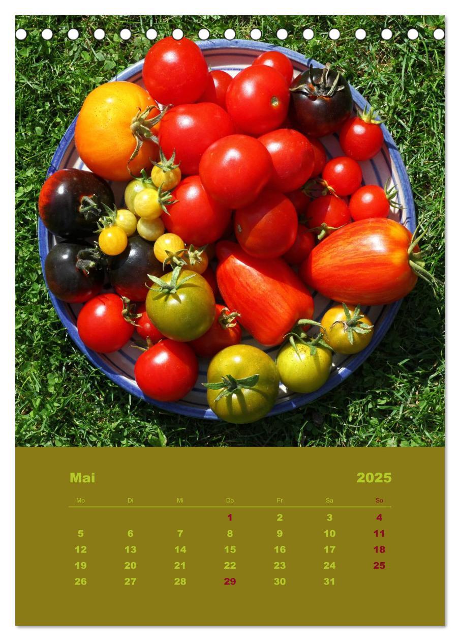 Bild: 9783457054673 | Tomaten - Alles BIO! (Tischkalender 2025 DIN A5 hoch), CALVENDO...