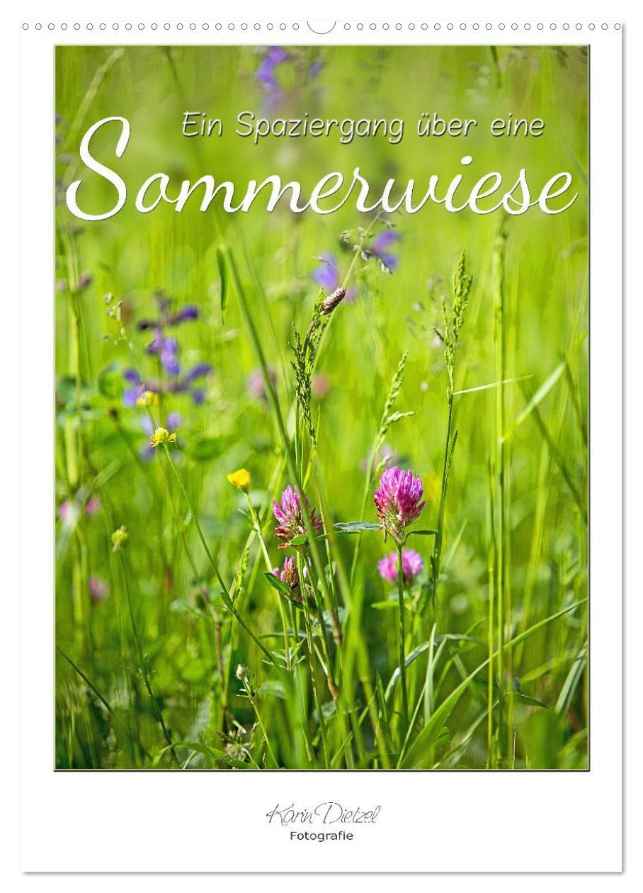 Cover: 9783457060049 | Ein Spaziergang über eine Sommerwiese (Wandkalender 2025 DIN A2...