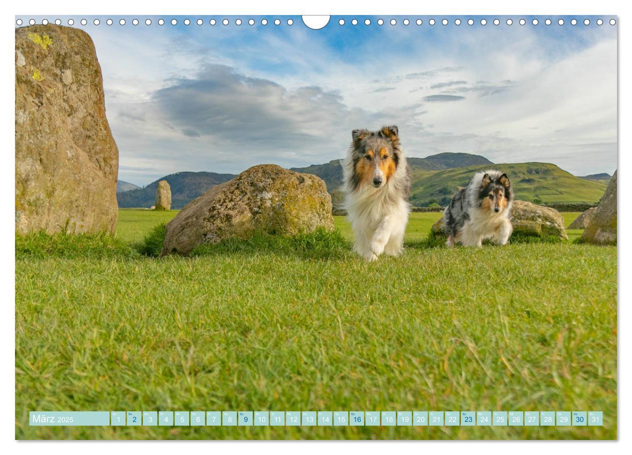 Bild: 9783435175758 | Highland-Collies - Auf vier Pfoten durch Schottland und Irland...