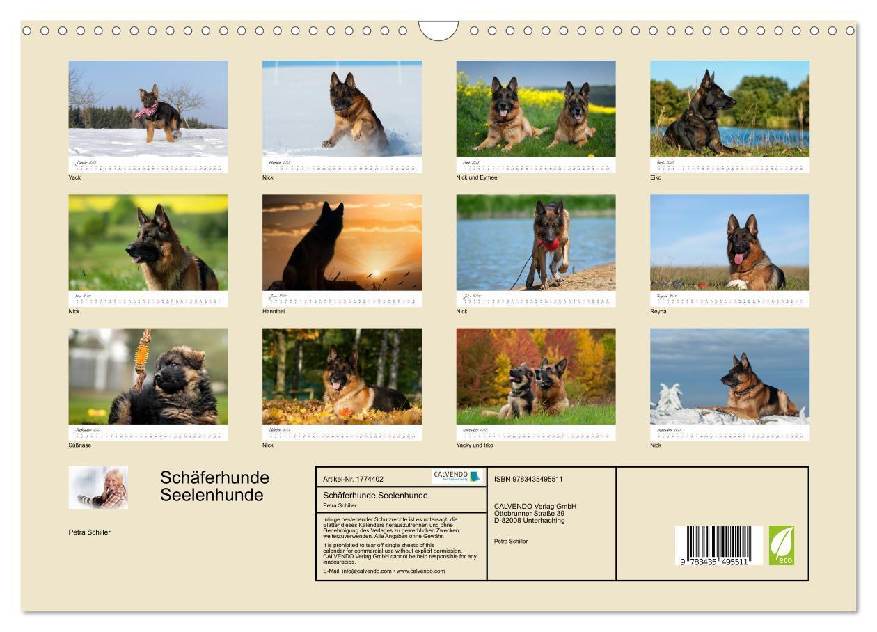 Bild: 9783435495511 | Schäferhunde Seelenhunde (Wandkalender 2025 DIN A3 quer), CALVENDO...