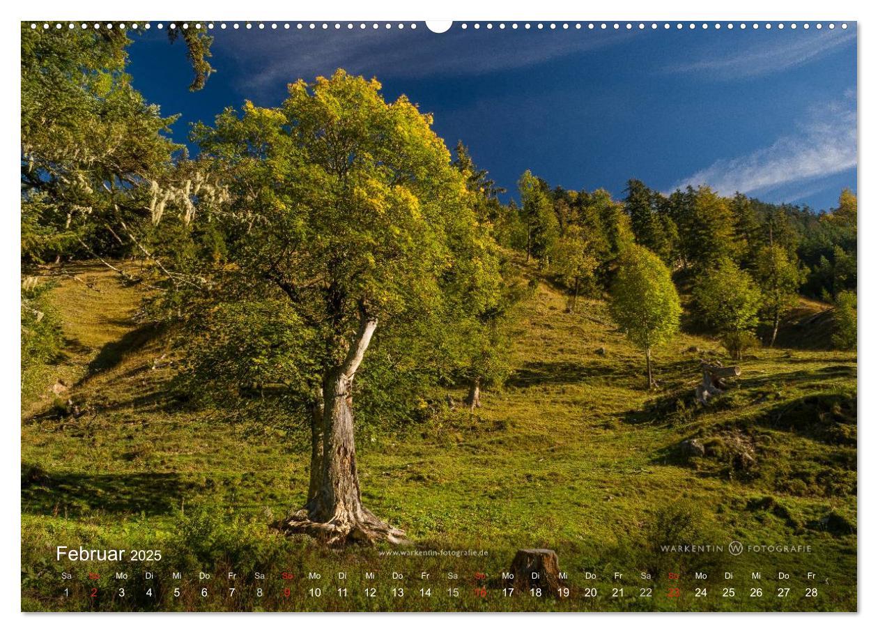 Bild: 9783435613977 | Großer Ahornboden - Europas großer Ahornwald (Wandkalender 2025 DIN...