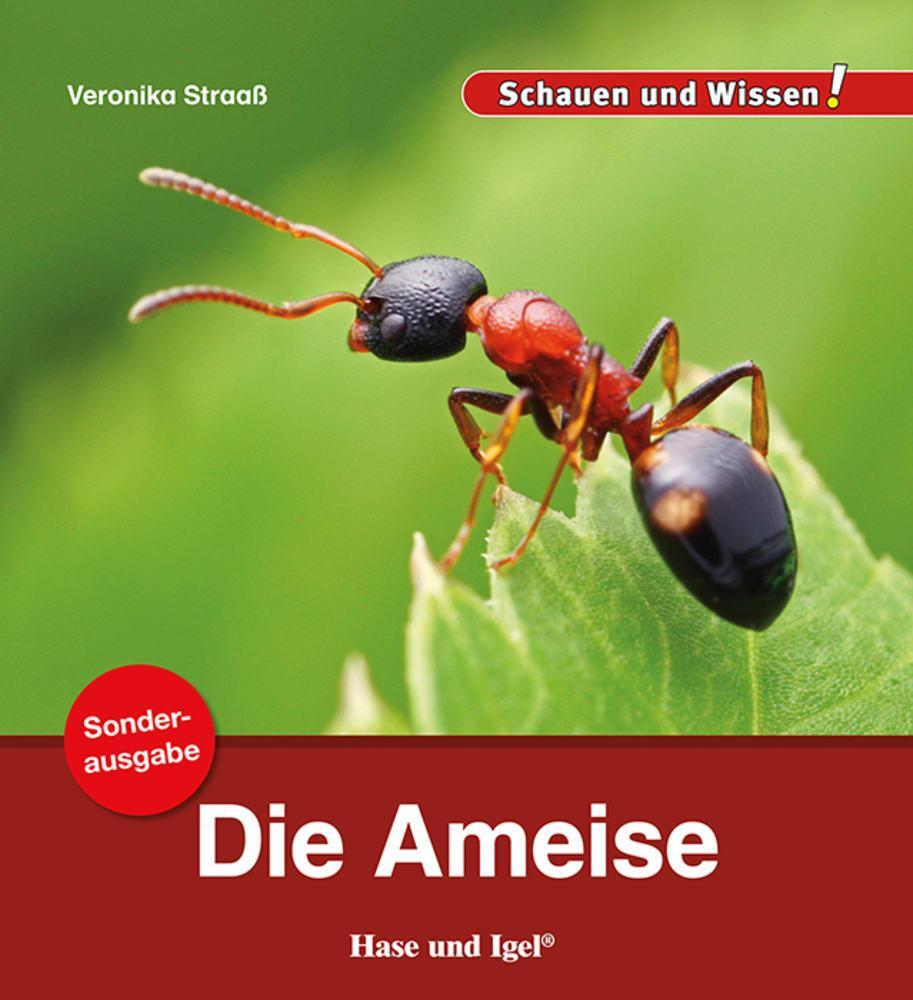 Cover: 9783863163563 | Die Ameise / Sonderausgabe | Schauen und Wissen! | Veronika Straaß