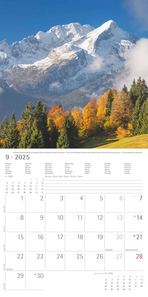 Bild: 4251732340926 | Alpha Edition - Alpen 2025 Broschürenkalender, 30x30cm,...