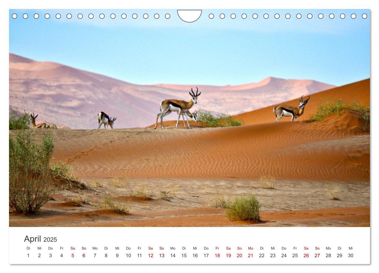 Bild: 9783383977220 | Namibia - Ein Paradies auf Erden. (Wandkalender 2025 DIN A4 quer),...