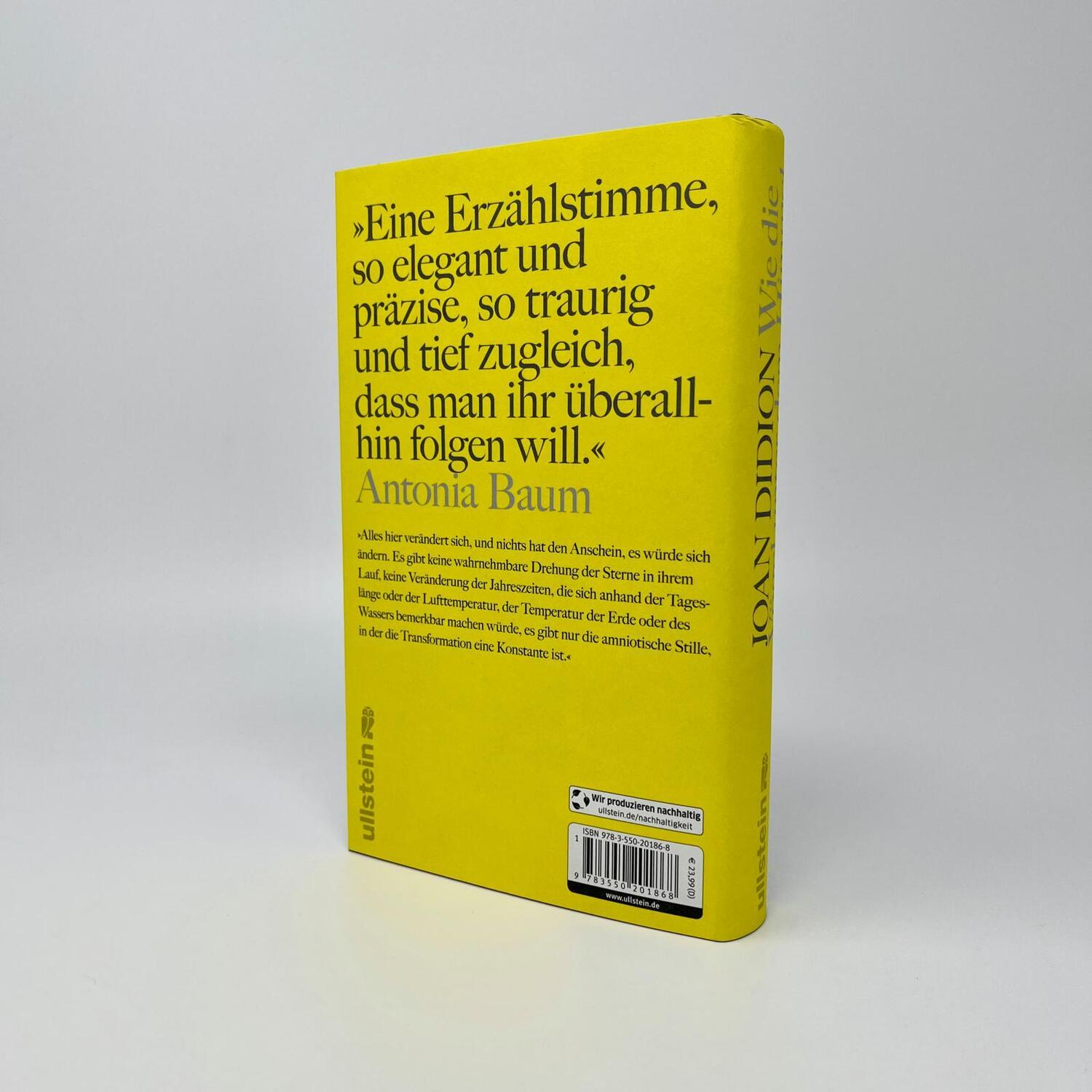 Bild: 9783550201868 | Wie die Vögel unter dem Himmel | Joan Didion | Buch | 336 S. | Deutsch