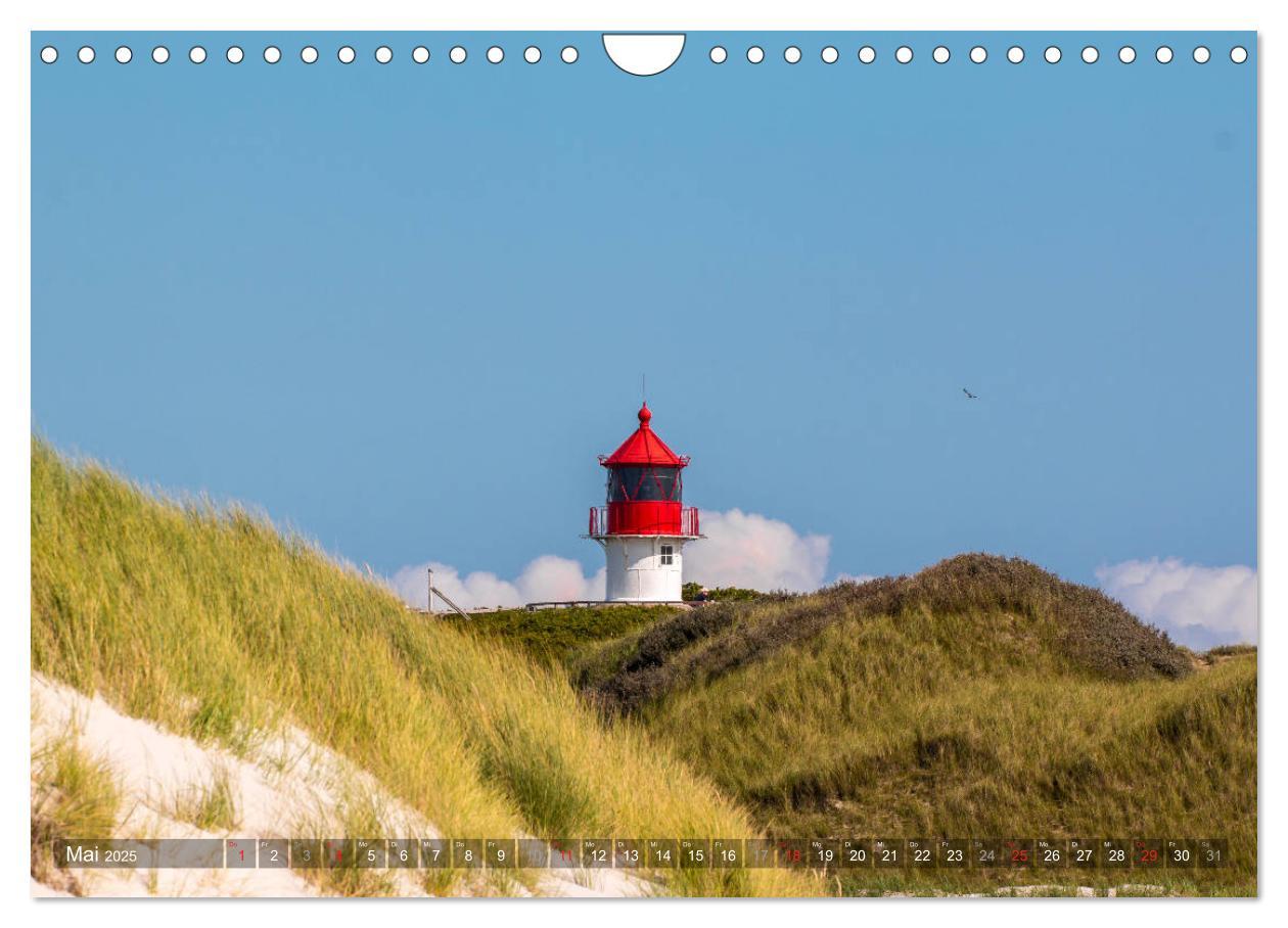 Bild: 9783435271870 | Amrum Insel am Wattenmeer (Wandkalender 2025 DIN A4 quer), CALVENDO...