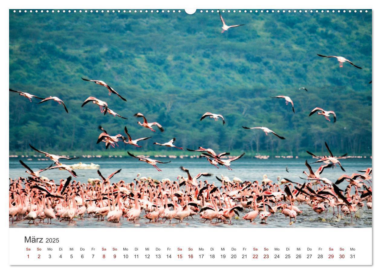 Bild: 9783435002313 | Kenia - Eine Safari durch unberührte Natur. (Wandkalender 2025 DIN...