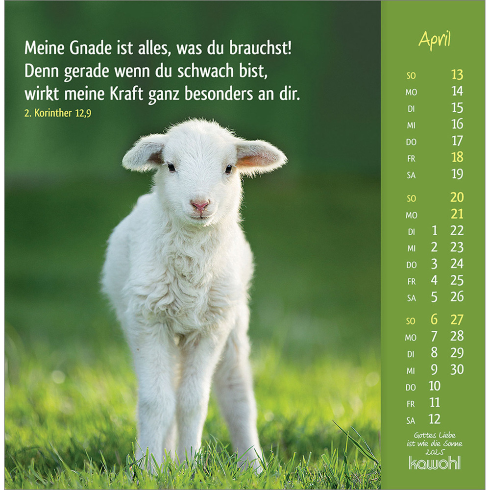 Bild: 9783754848050 | Gottes Liebe ist wie die Sonne 2025 | Tierkalender mit Bibelworten