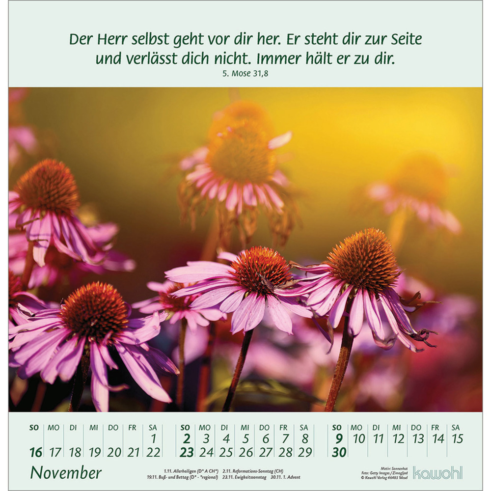 Bild: 9783754826058 | Blumengrüße 2025 | Kalender mit Bibelworten und Blumenbildern | 14 S.