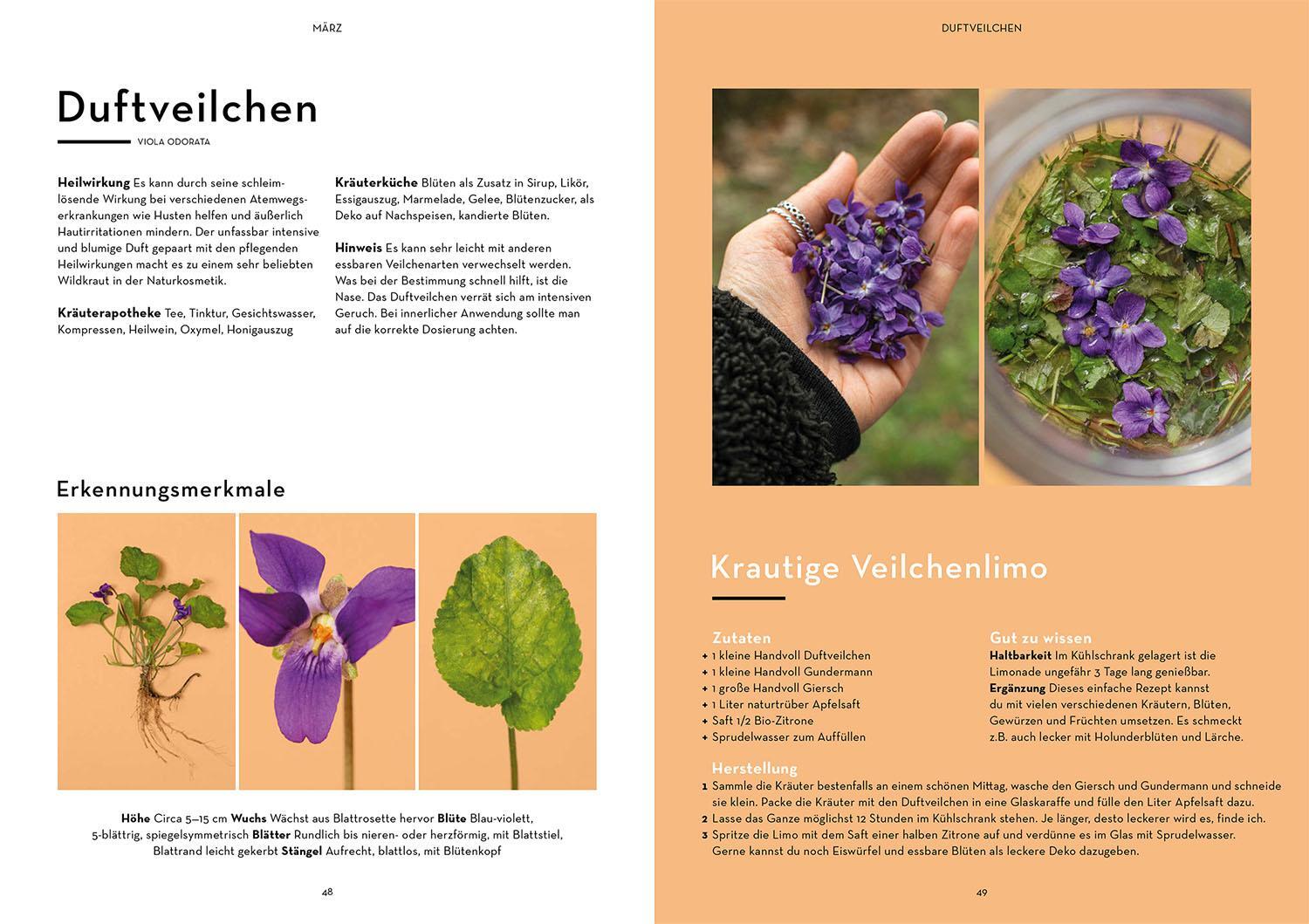 Bild: 9783440177594 | Wild durchs Jahr | Isabel Fischer | Taschenbuch | 160 S. | Deutsch