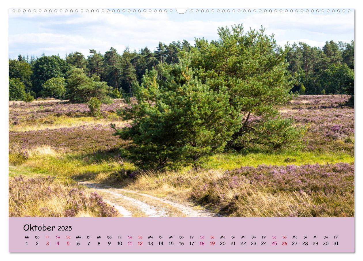 Bild: 9783435024810 | Lüneburger Heide Wege (hochwertiger Premium Wandkalender 2025 DIN...