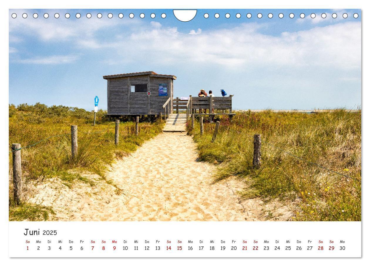 Bild: 9783435029297 | Sehnsuchtinsel Langeoog (Wandkalender 2025 DIN A4 quer), CALVENDO...