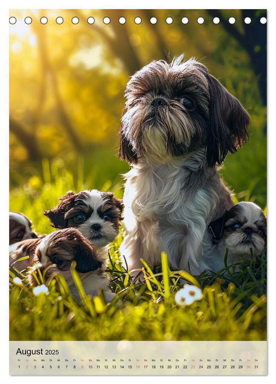 Bild: 9783383765599 | Shih Tzu - immer im Mittelpunkt (Tischkalender 2025 DIN A5 hoch),...