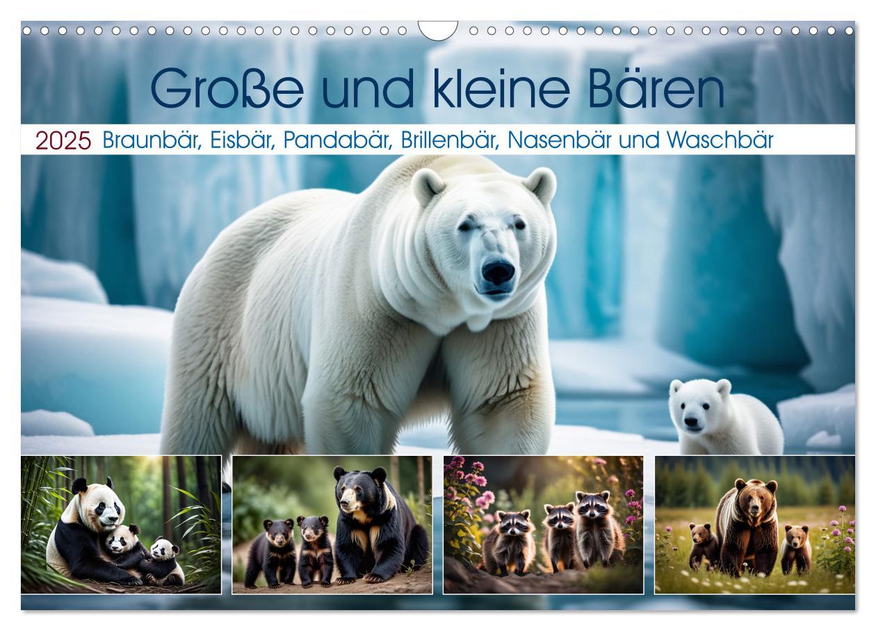 Cover: 9783457166765 | Große und kleine Bären (Wandkalender 2025 DIN A3 quer), CALVENDO...