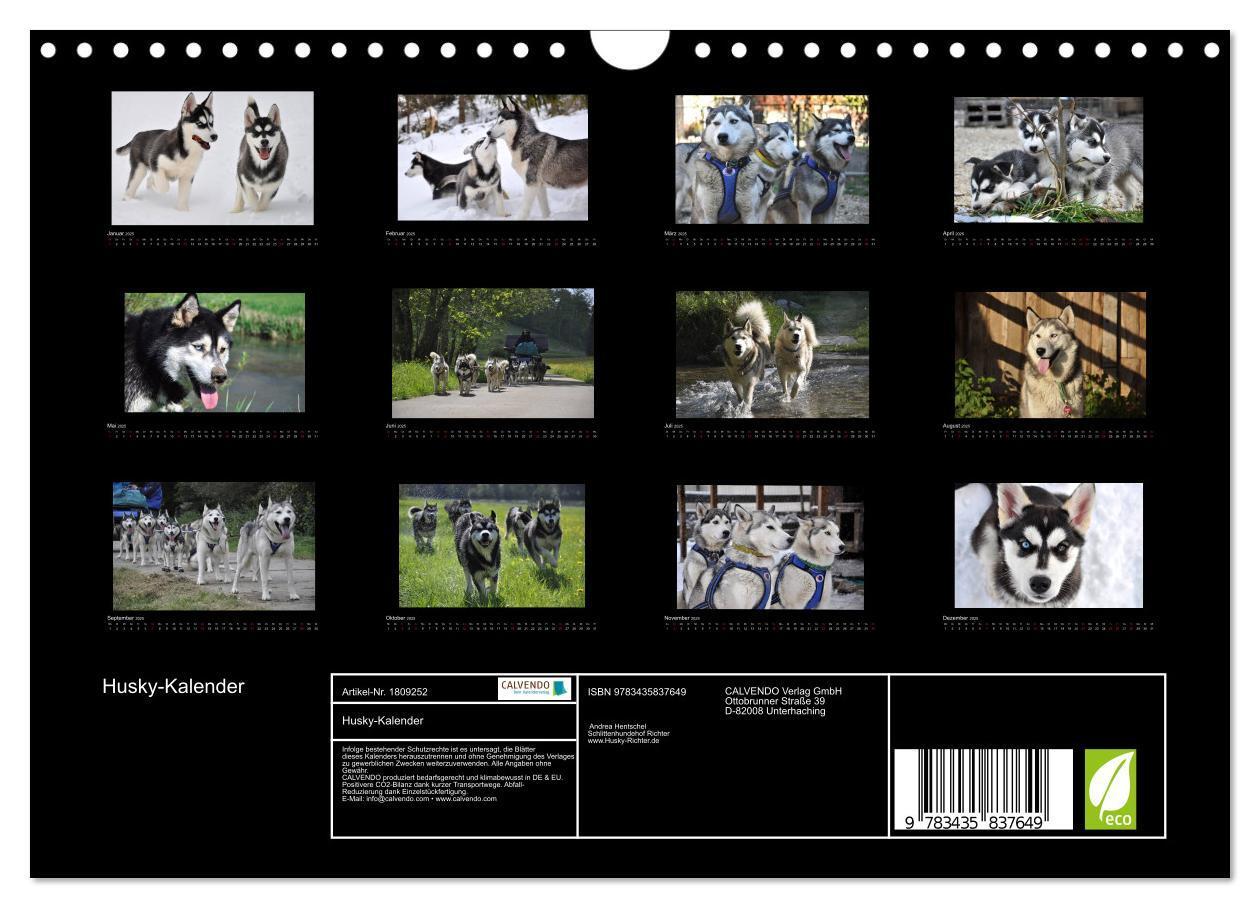 Bild: 9783435837649 | Husky-Kalender (Wandkalender 2025 DIN A4 quer), CALVENDO...