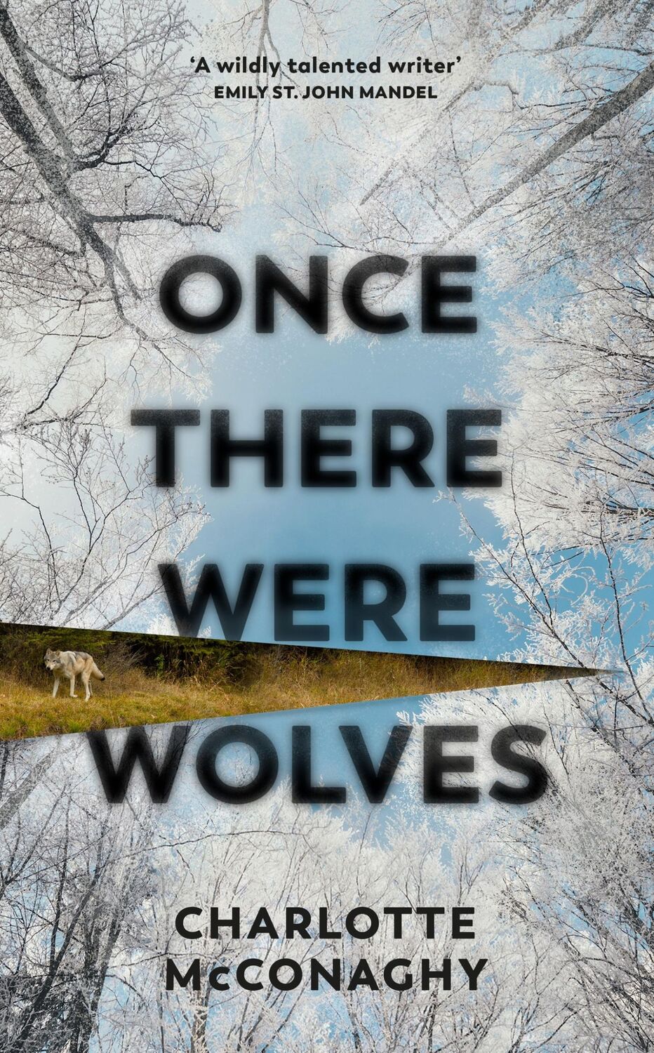 Cover: 9781784744403 | Once There Were Wolves | The instant NEW YORK TIMES bestseller | Buch