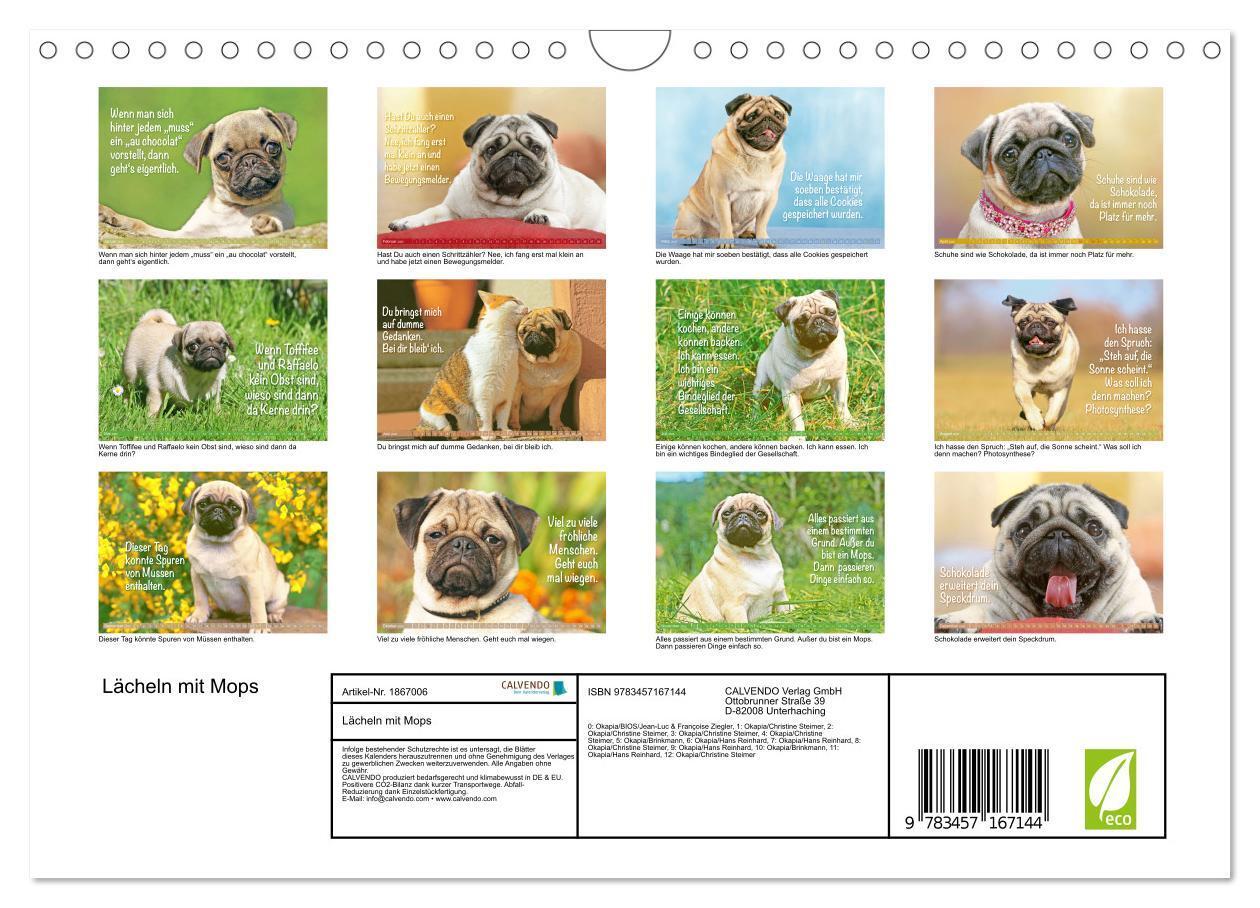 Bild: 9783457167144 | Lächeln mit Mops (Wandkalender 2025 DIN A4 quer), CALVENDO...