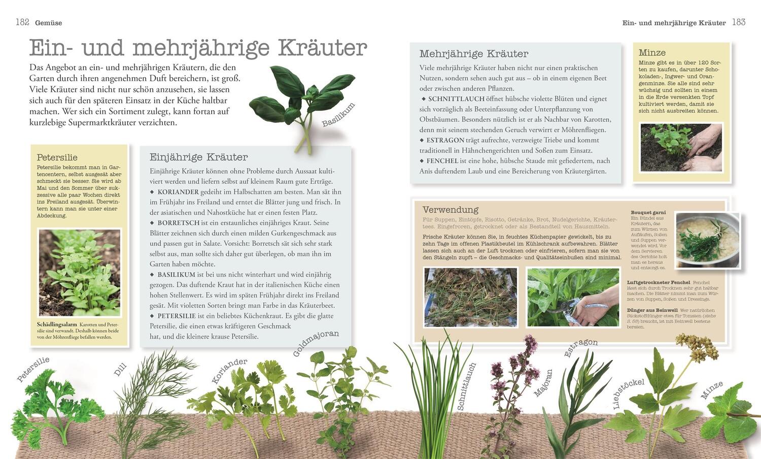 Bild: 9783831039012 | Selbstversorgung für Einsteiger | Große Ernte im kleinen Garten | Buch