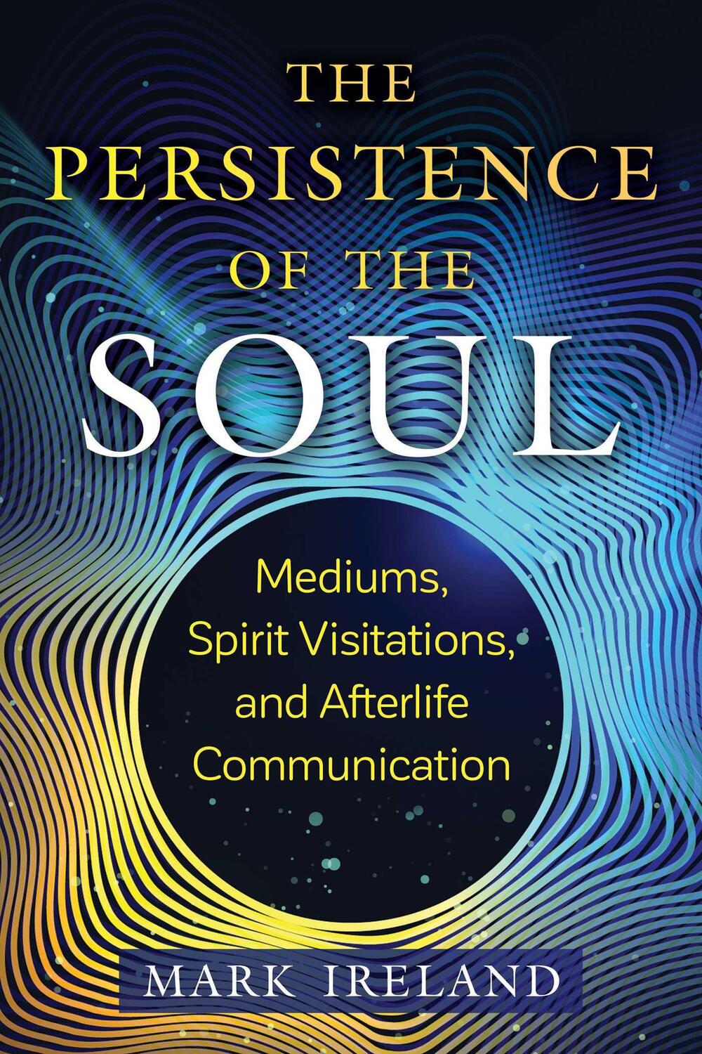 Bild: 9781644117187 | The Persistence of the Soul | Mark Ireland | Taschenbuch | 2023