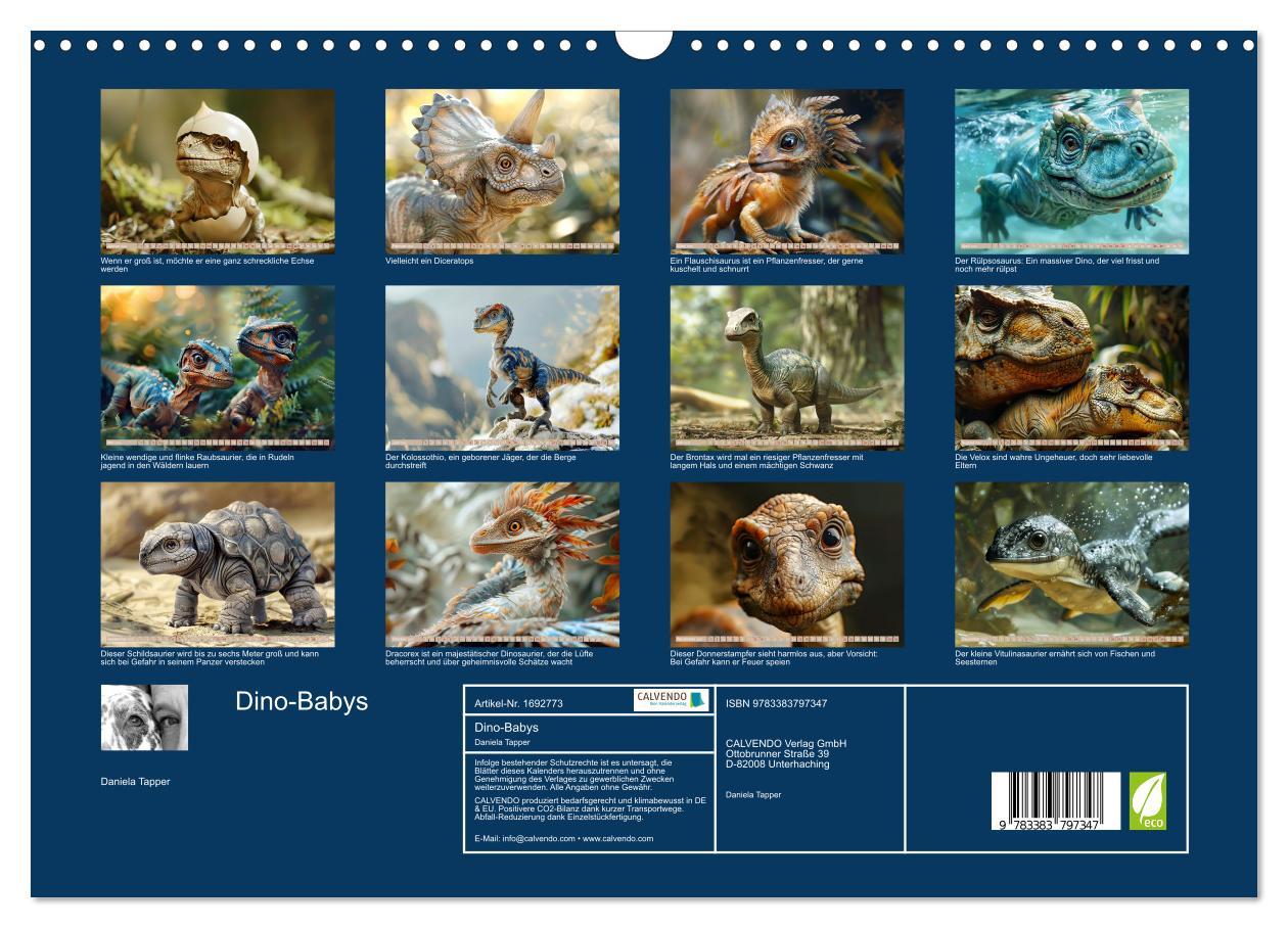 Bild: 9783383797347 | Dino-Babys (Wandkalender 2025 DIN A3 quer), CALVENDO Monatskalender