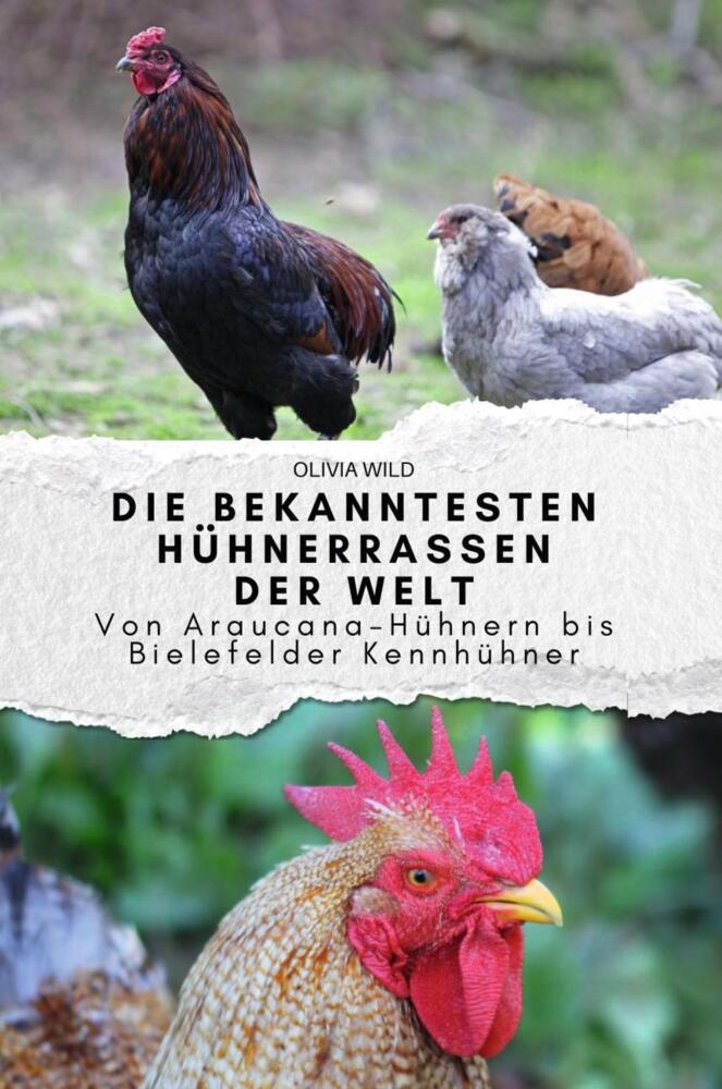 Cover: 9783759151124 | Die bekanntesten Hühnerrassen der Welt | Olivia Wild | Taschenbuch