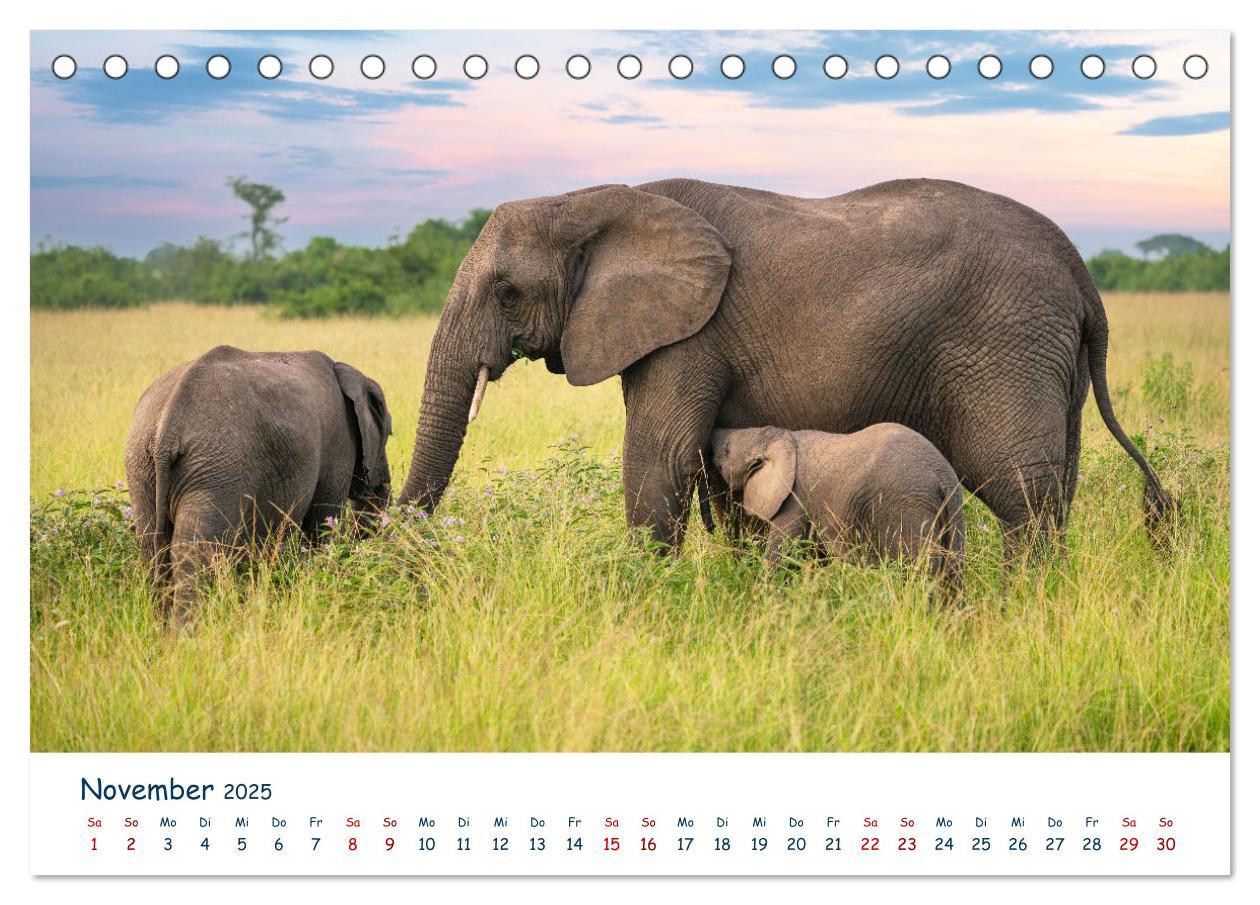 Bild: 9783435001408 | Fernweh Uganda - Naturschönheit Ostafrikas (Tischkalender 2025 DIN...