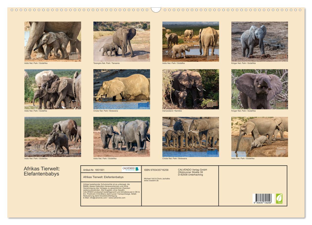 Bild: 9783435716258 | Afrikas Tierwelt: Elefantenbabys (Wandkalender 2025 DIN A2 quer),...