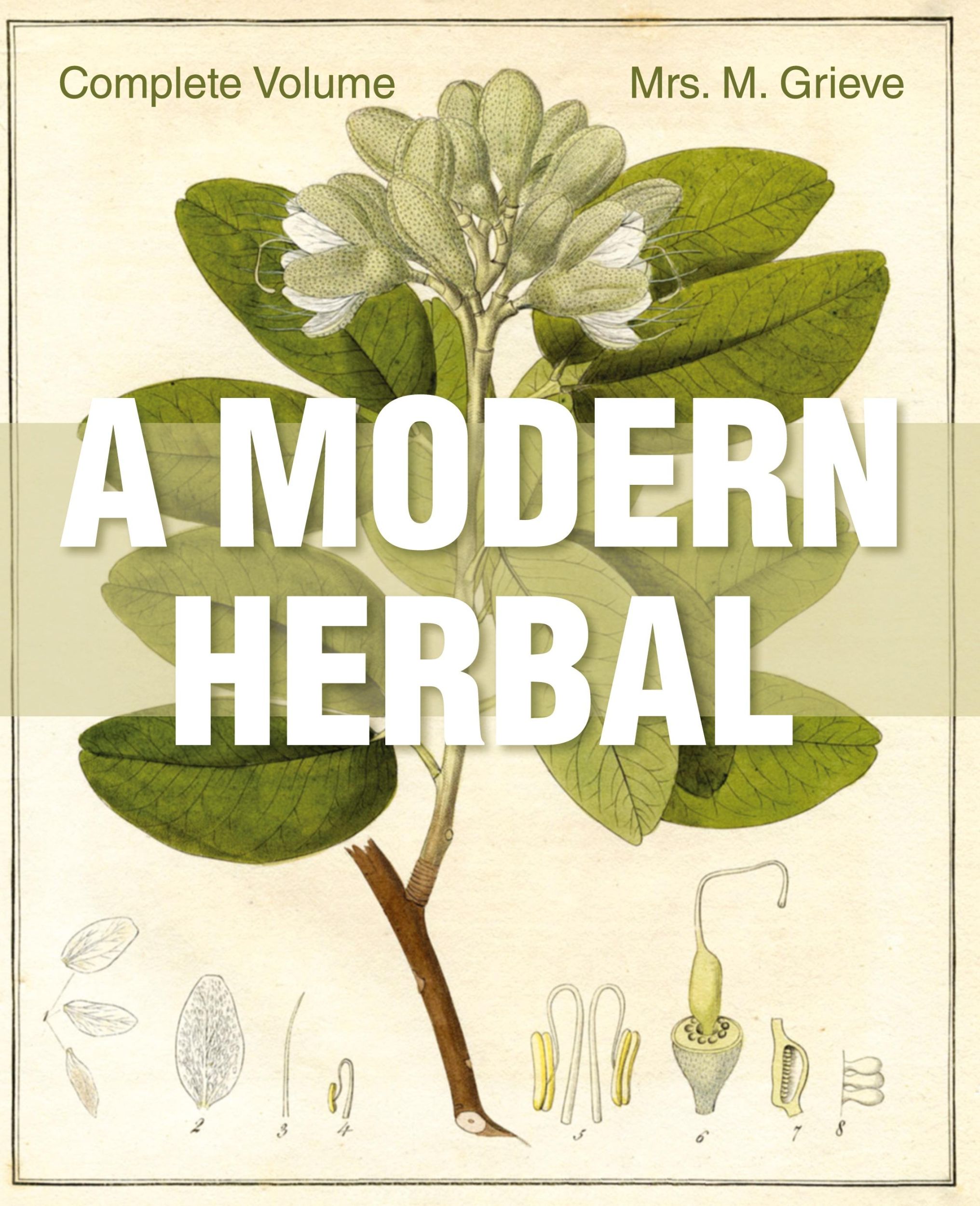 Cover: 9781626542235 | A Modern Herbal | The Complete Edition | Margaret Grieve | Taschenbuch