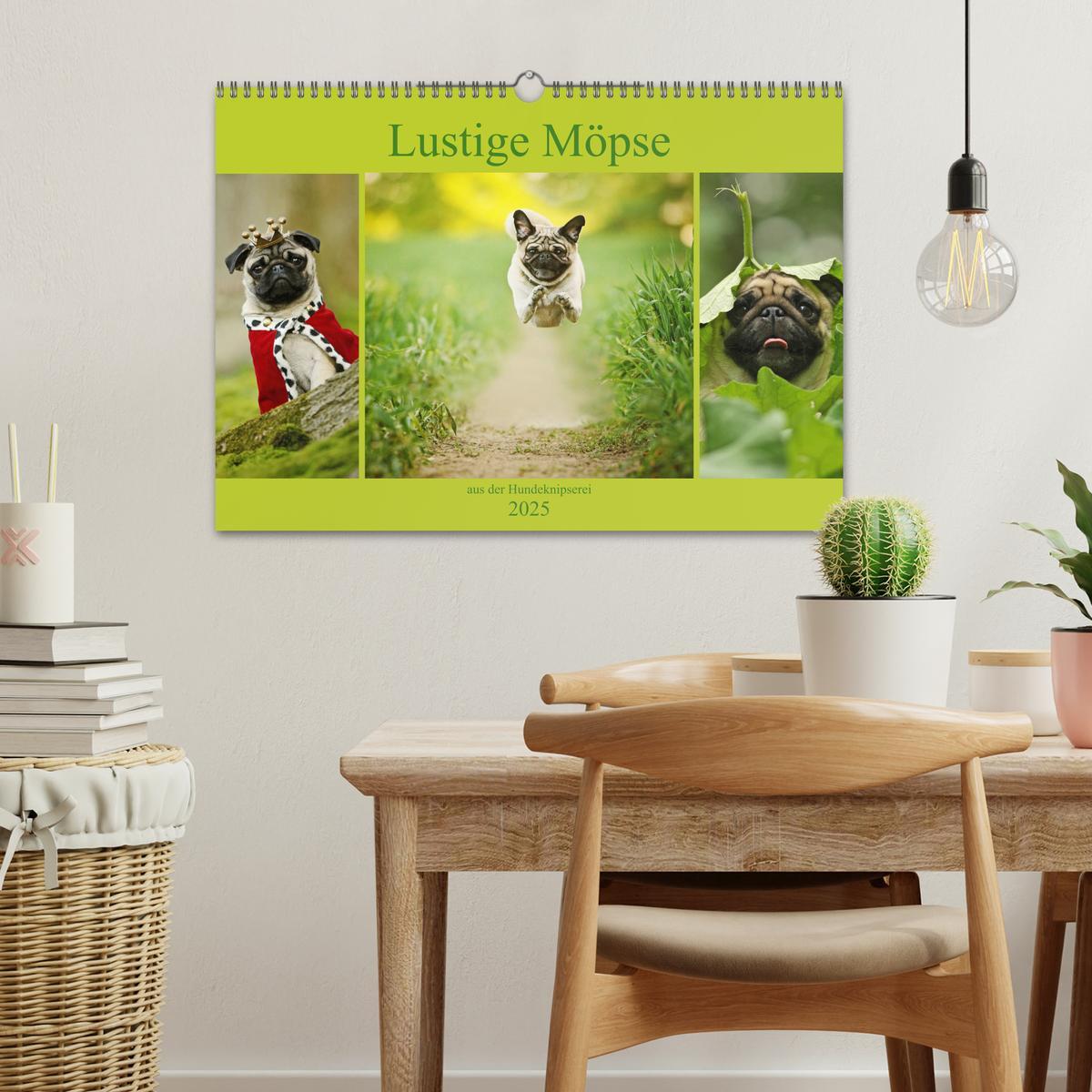 Bild: 9783435441600 | Lustige Möpse aus der Hundeknipserei (Wandkalender 2025 DIN A3...